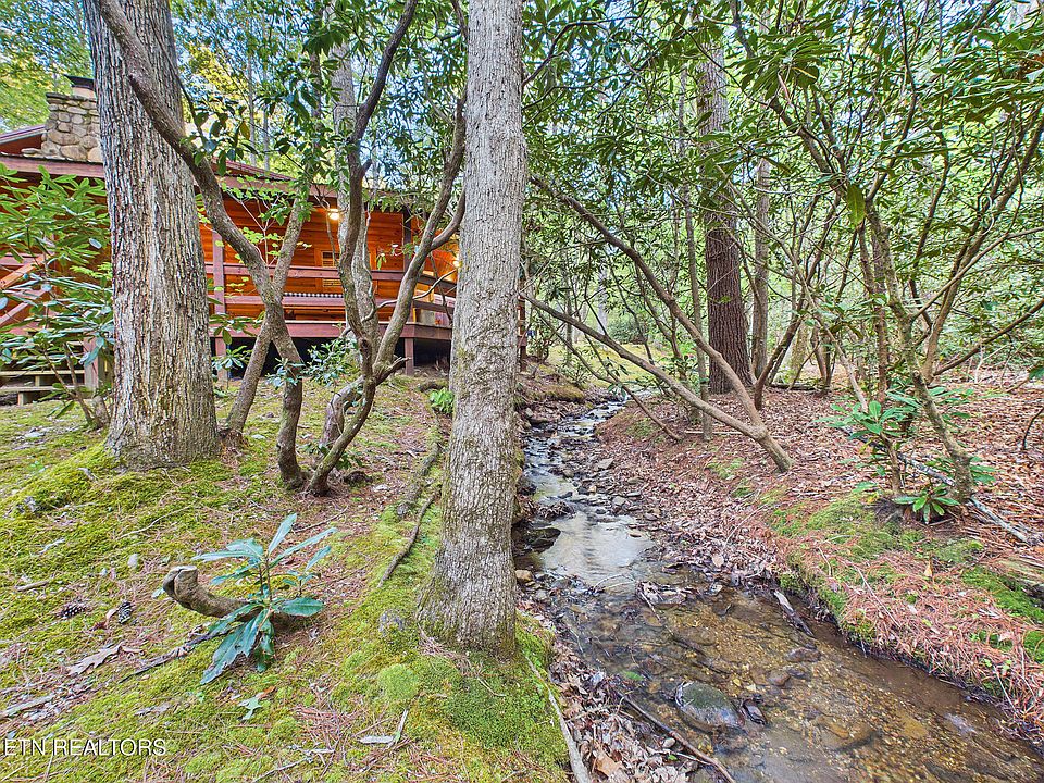 43rd image of 113 Rivendell Ln