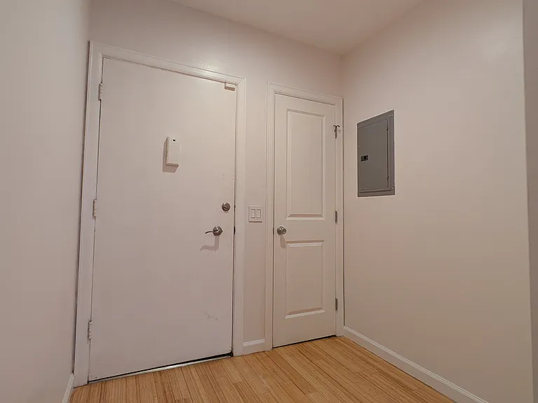 Entry and walk in closet