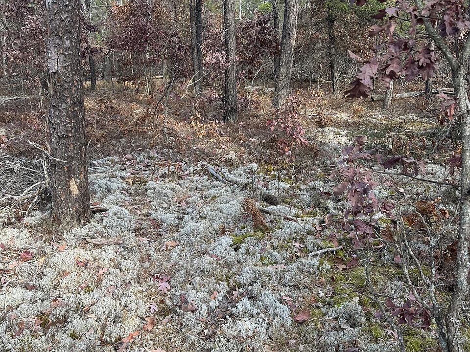 1st image of 0 Sweet Fern Dr