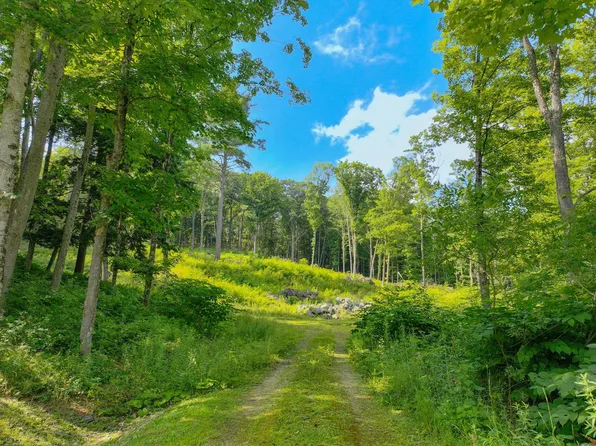 0 Rose Hill Road, Woodstock, VT 05091