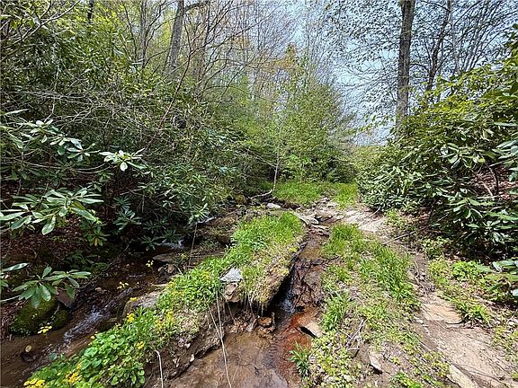 5th image of TBD Greer Town Road