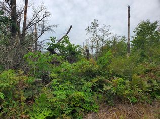 Par 2 Nelson Rd, Idlewild, MI 49642