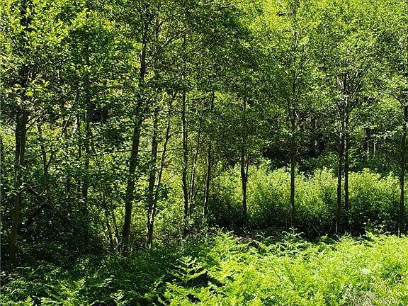 5th image of 29531 Little Bear Creek Rd