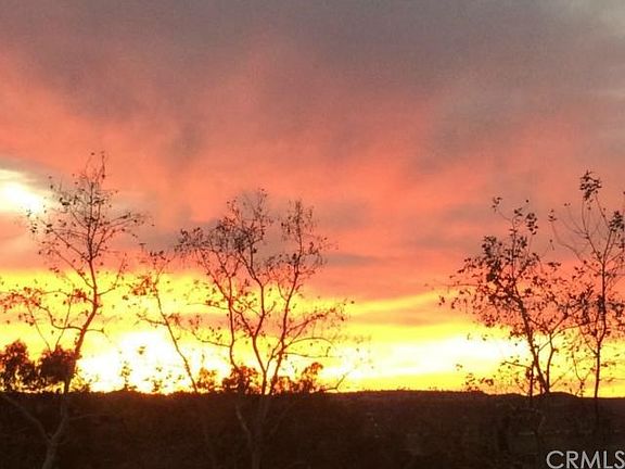 Check out this View!