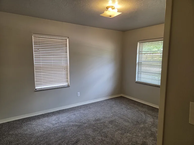 1313 Ann Arbor Dr — Photo 10