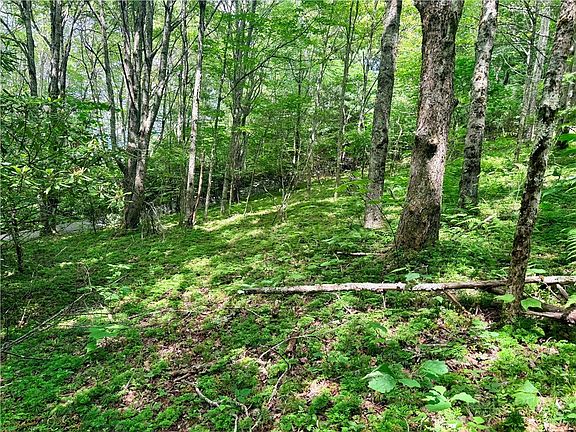 4th image of TBD Chestnut Mountain Road