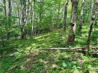 TBD Chestnut Mountain Road, Banner Elk, NC 28604