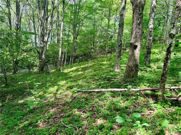 TBD Chestnut Mountain Road, Banner Elk, NC 28604