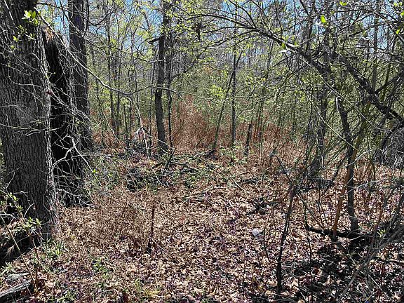 3rd image of 0 Everitt Rd