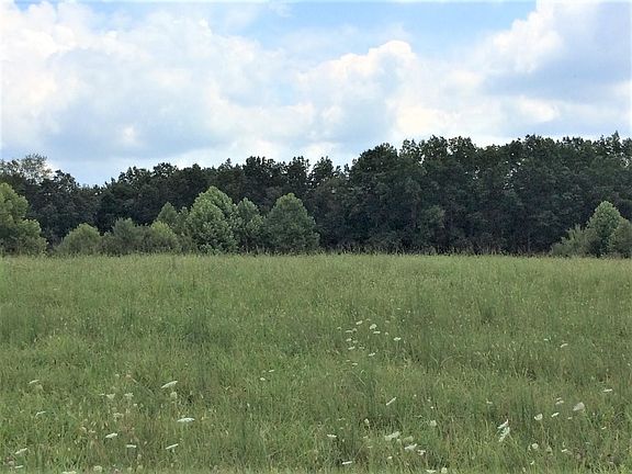 4th image of 0 Highway 127 N Lot 1 & 2