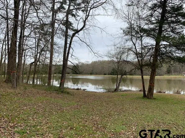 18780 Three Lakes Rd, Tyler, TX 75703