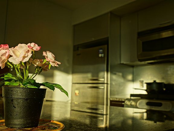 3rd image of 350 W 42nd St APT 18M