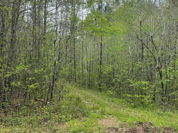 0 Berner Loop, Forsyth, GA 31029