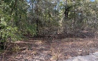 4th image of 0 SW 22nd Pl