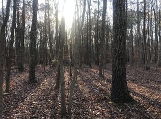 Equestrian Trail Rd, New canton, VA 23123