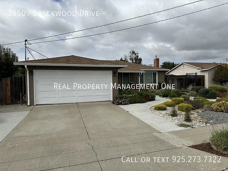 Updated 4 Bedroom, 2 Bathroom Home in Perfect Newark Location — Photo 3