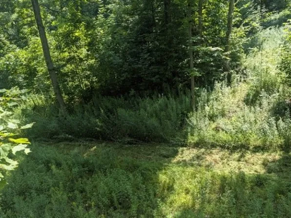 Bowers Rd #19, Cassadaga, NY 14718