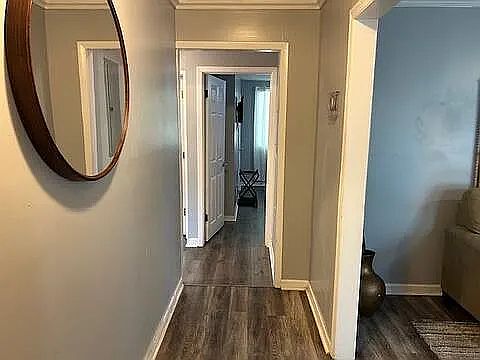 5th image of 1441 Andrews St NW