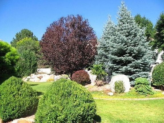 Full of Mature Trees & Pines