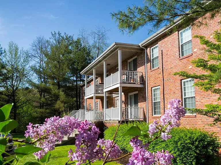 Hickory Hills — Photo 9