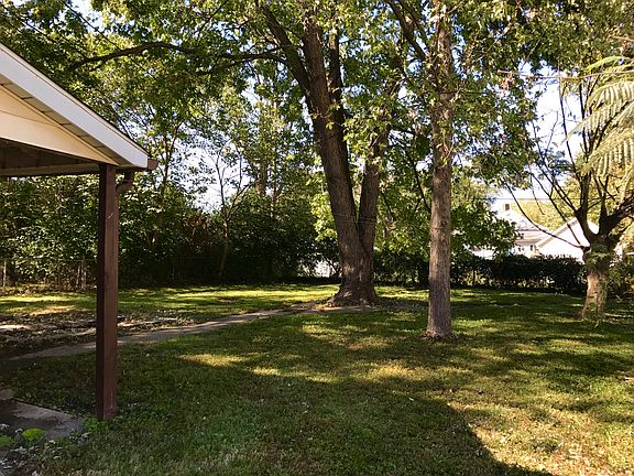 Shady back yard 