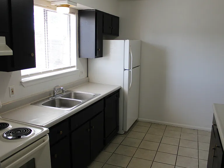 1300 SF 2 Bed / 2 Bath Town Home Apartments Next To Lafayette Park! — Photo 9