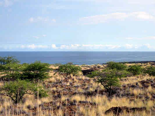 1st image of 72-3166 Mauu Pili Pl