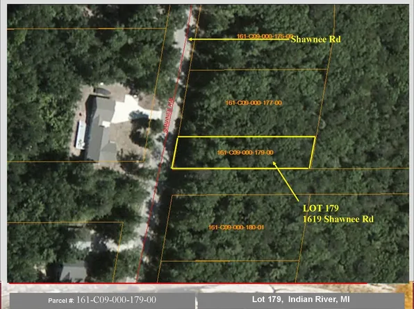 1619 Shawnee Ave, Indian River, MI 49749