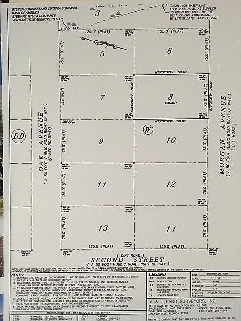 Survey 144 Morgan Ave Lot 8
