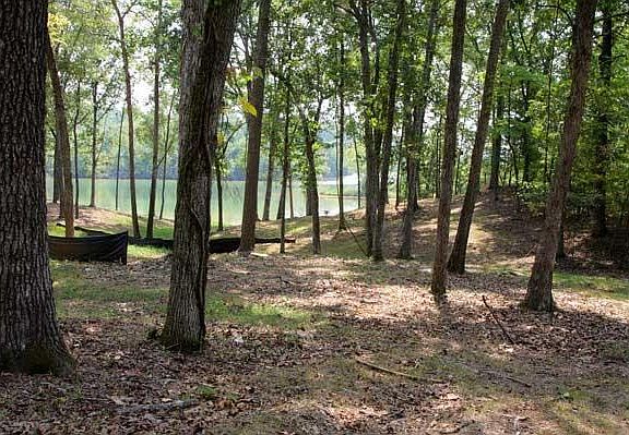 3rd image of 151 Driftwood Ln #1