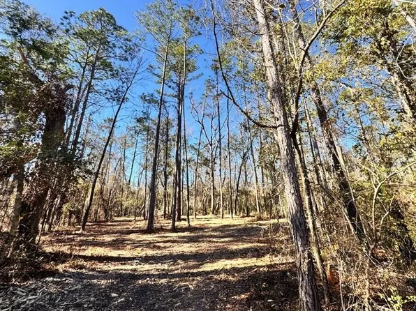 0 NE Chervil Dr Lot 19, Lee, FL 32059