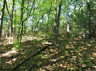 9 Nc Hwy, Black Mountain, NC 28711