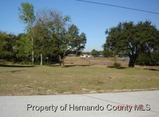 171 Hallow Ave, Spring Hill, FL 34606