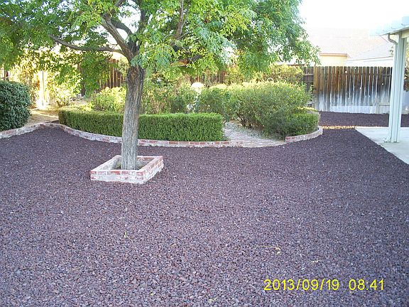 back yard