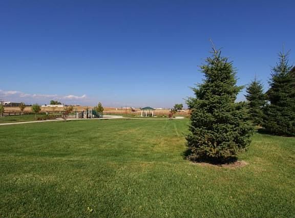 8401 RASPBERRY DRIVE