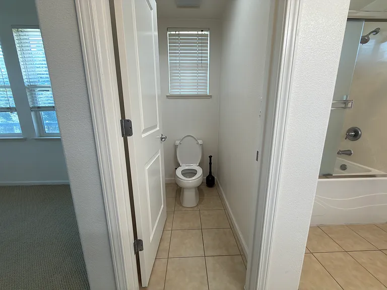 Master Bathroom Toilet