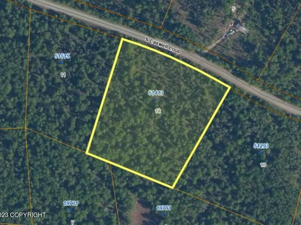 51413 S Caswell Loop, Willow, AK 99688