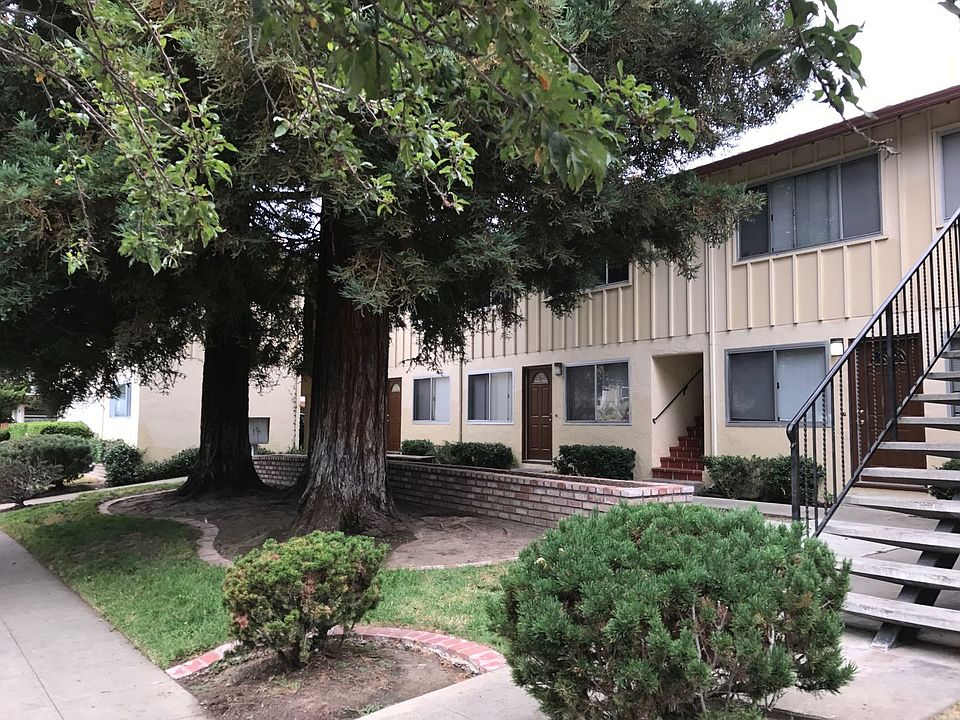 1st image of 3035 Magliocco Dr APT 3