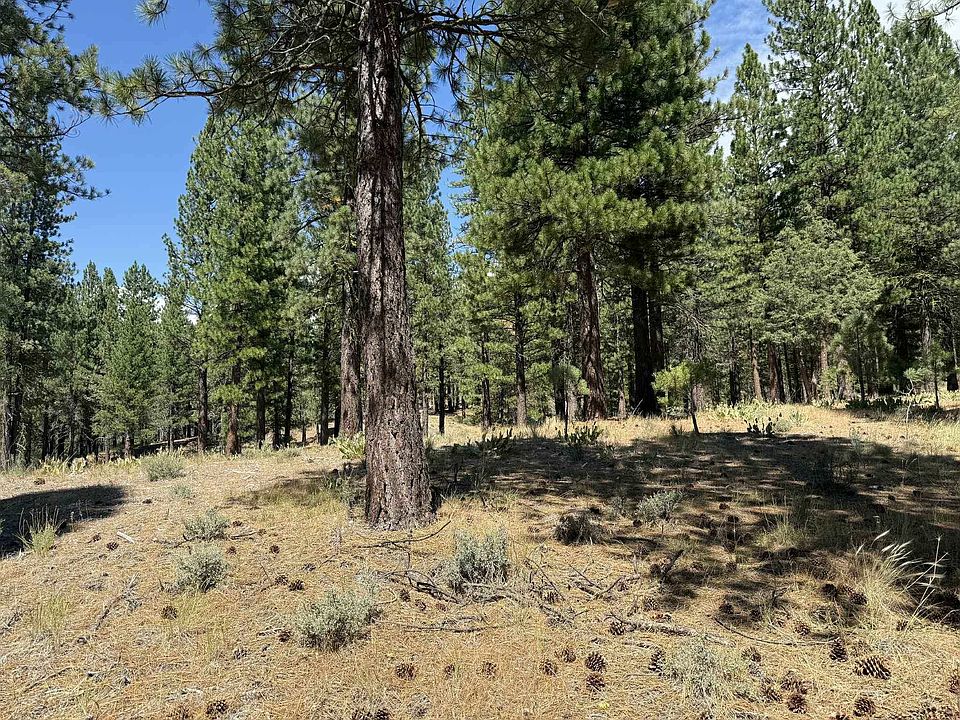 2nd image of 1359 Valley Ranch Dr