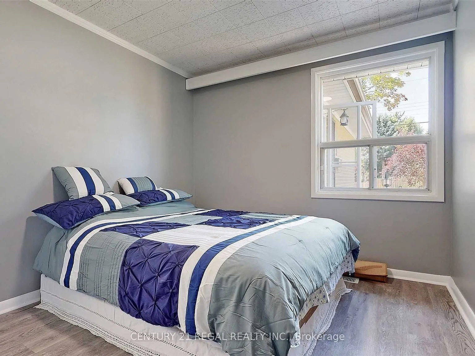 3 bed, $2,300 — Photo 4