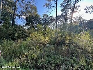 2nd image of Persimmon St Lot 2877