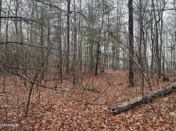 0 Woodland Trl Lot 20A, Sunbright, TN 37872