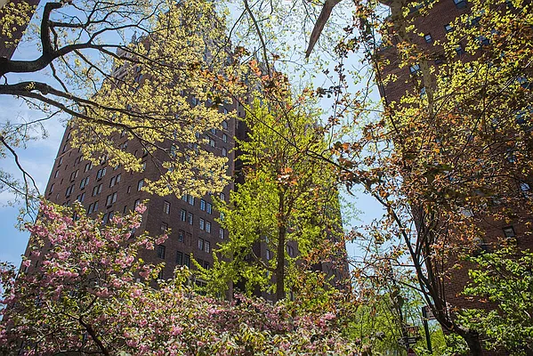 Rented by Keller Williams NYC | media 17