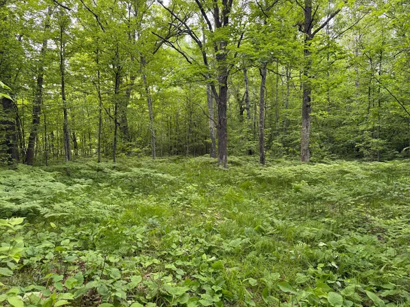 Sandhill Crane Ln, Pine City, MN 55063
