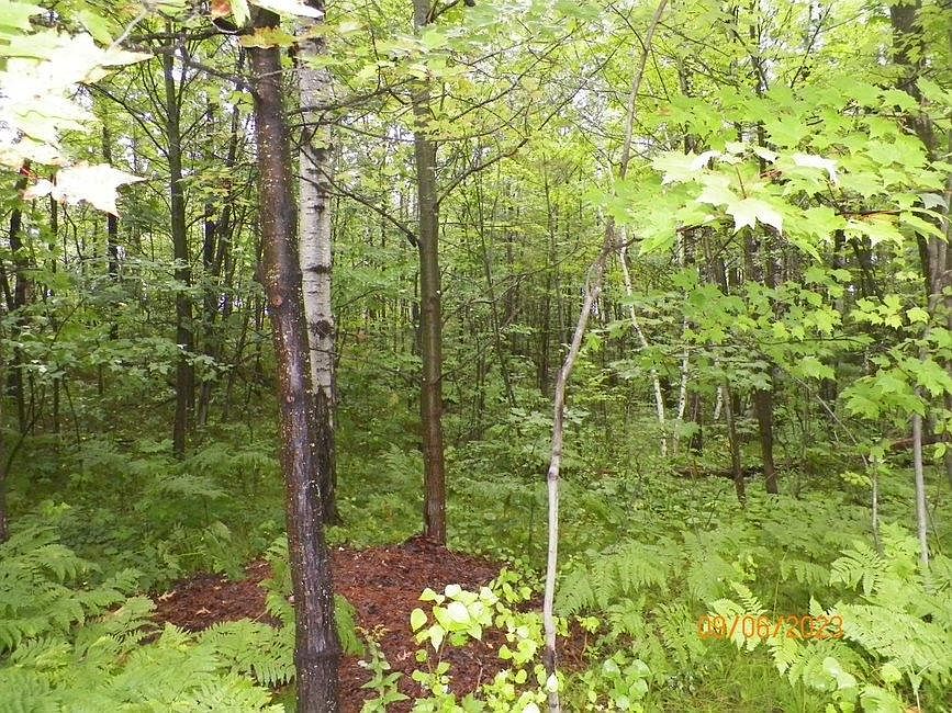 On Hwy LOT 512, Boulder Junction, WI 54512 MLS 203656 Zillow