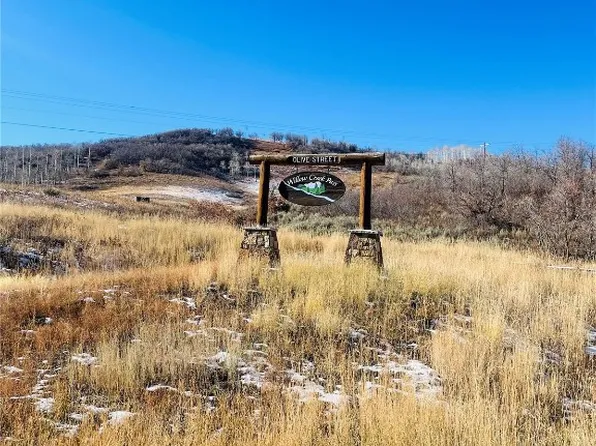 27250 Frisco Place, Clark, CO 80428