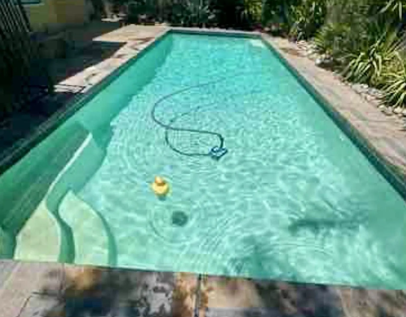 Half Off 1st Months Rent-Available Now! Move-In Ready — Photo 4