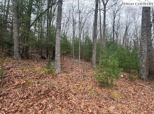 Clearview Rdg, Crumpler, NC 28617