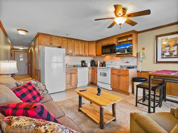 228 Mountain Lodge Ln, Snowshoe, WV 26209