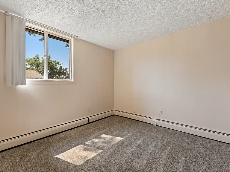Natural Light Fills the Room